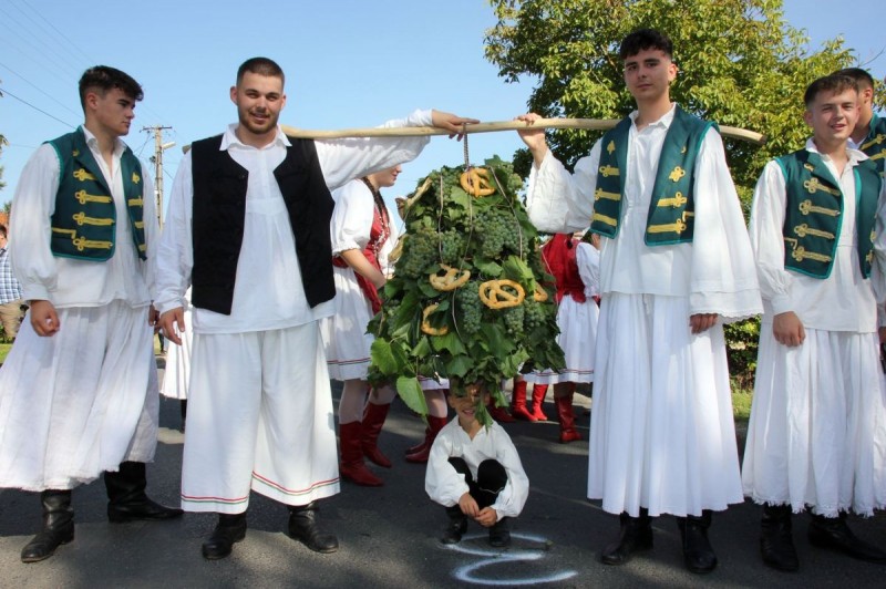 A Badacsonyi szüret elmaradhatatlan kelléke a szőlőharang, amit a vasárnapi felvonuláson is láthatnak majd az érdeklődők Fotó: Szijártó János / Napló