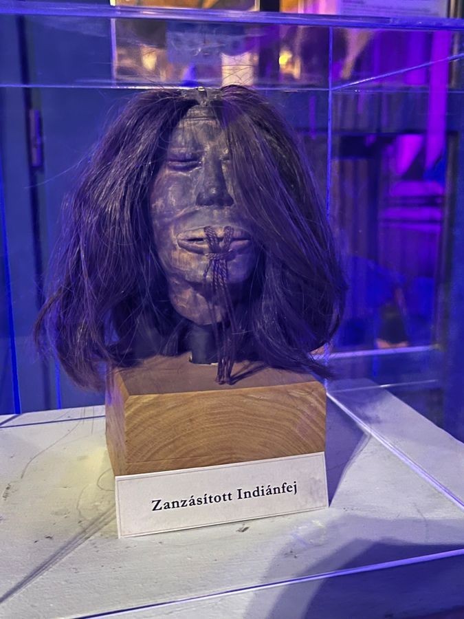 A zsugorított emberi fej különleges kincse az ajkai múzeumnak Fotó: Györkös József