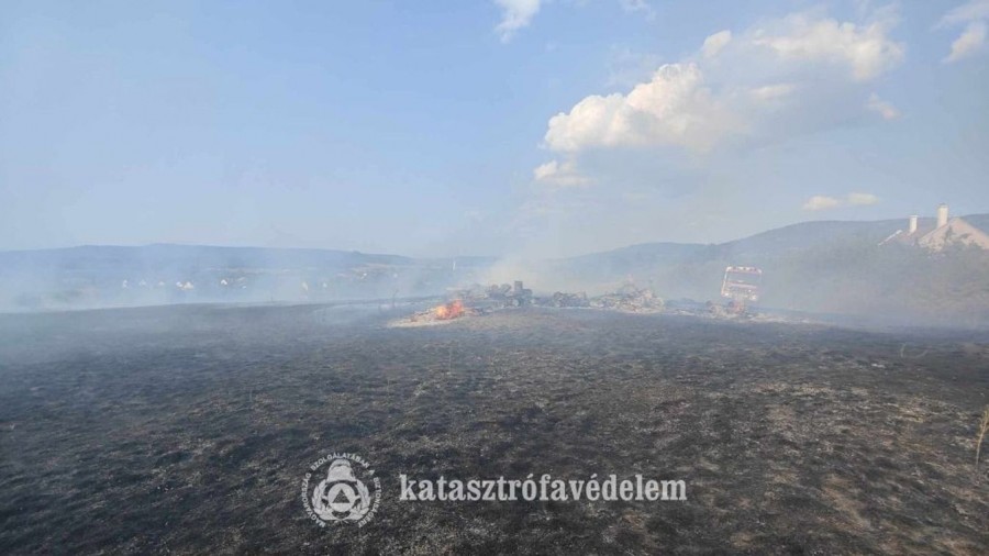 A tűzben aljnövényzet égett, a lángok méhkaptárokat is érintettek.  Veol.hu