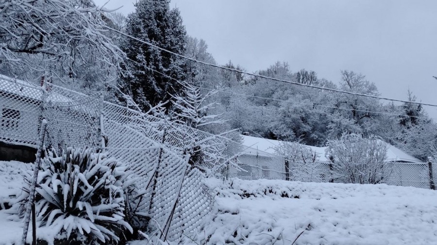 Havas Ajka Fotó: Tisler Anna