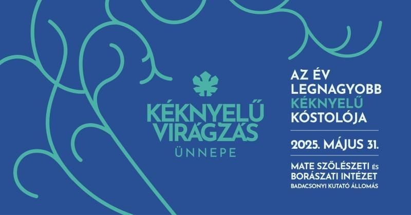 Kéknyelűvirágzás ünnepe: Badacsony újra reflektorfényben Forrás: visitbalaton365.hu