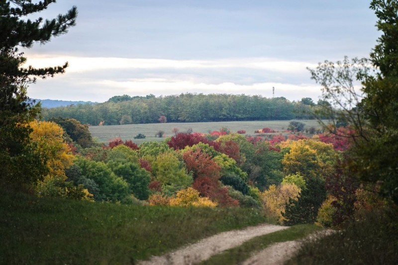 Sajnos nem sok jót ígér a hétvége időjárása Fotó: Fülöp Ildikó/Napló