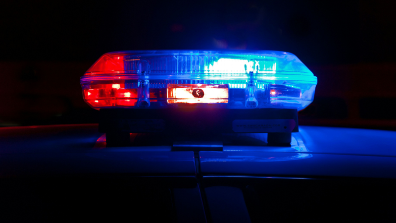  Őrizetbe vettek egy ajkai vállalkozót Molnár Péter felrobbantásának ügyében Most újabb fordulatot vett a 28 évvel ezelőtt történt Molnár Péter-ügy. Kedden reggel ugyanis őrizetbe vették az ajkai T. Tibort, aki valószínűleg érdekelt volt a veszprémi alvilág rettegett alakjának felrobbanantásában. Szilas Lilla 2025. november 18. 18:00 12 órája olvasási idő 4 perc Szlávy Bulcsú Nemzeti Nyomozó Iroda (NNI) robbantás molnár péter Ezt ne hagyja ki! Magyar Péter körül tolong az óbaloldal serege  A Nemzeti Nyomozó Iroda felbujtással gyanúsítja az ajkai vállalkozót a veszprémi alvilág egykori ismert alakjának meggyilkolása kapcsán – írja a Blikk a Telex nyomán. Információik szerint szintén kedden reggel Balatonalmádiban őrizetbe vették B. Rolandot, aki kapcsolatban állhat az ügy érintettjeivel. A nyomozás során további személyeket is meggyanúsítottak, akik vélhetően bűnsegédek lehettek a Molnár Péter 1997-es meggyilkolásában.  Az ajkai vállakozót felbujtással gyanúsítják Molnár Péter 1997-es felrobbantásában Az ajkai vállalkozót felbujtással gyanúsítják Molnár Péter 1997-es felrobbantásában Fotó: MTI/Penovác Károly Többen is részt vettek Molnár Péter 1997-es felrobbantásában  Még áprilisban írtunk róla, hogy elfogta a rendőrség a Portik Tamáshoz köthető, a 90-es években aktív alvilági csoportosulás egyik fontos figuráját. Gy. Lászlót elfogásakor többek között emberkereskedelemmel gyanúsították. A férfi a kilencvenes években fontos tagja volt annak a veszprémi, balatoni körnek, amelyik 1994 környékén a Portik Tamáshoz is köthető Energol nevű olajos cég helyi szövetségesének, partnerének számított.   A Veszprémi Jimmy néven ismert férfi neve több alvilági merénylet kapcsán is felmerült, de gyanúsítottként azokban az ügyekben soha nem hallgatták ki. A férfi nevét például különböző vallomásokban szóba hozták Molnár Péter veszprémi vállalkozó felrobbantásával összefüggésben, igaz, gyanút soha nem közöltek vele.   Molnár Pétert az 1997-ben „eltűnt” Szlávy Bulcsú észak-balatoni helytartójaként tartották számon, később a Szlávy érdekeltségeit átvevő Aranykéz utcai áldozattal, Boros Tamással ápolt üzleti kapcsolatokat. Az üzletembert 1997. augusztus 13-án a Balatonalmádi és Szentkirályszabadja közötti útszakaszon Nissan Patrol terepjáróval, a vezetőülése alá rejtett plasztikbombával robbantották fel. A 33 éves férfi meghalt, 21 éves utasa életveszélyes sérülésekkel került kórházba, de a fiatalember végül túlélte a merényletet. Portik neve szintén szóba került a leszámolás kapcsán mint felbujtó, de őt sem gyanúsították meg.