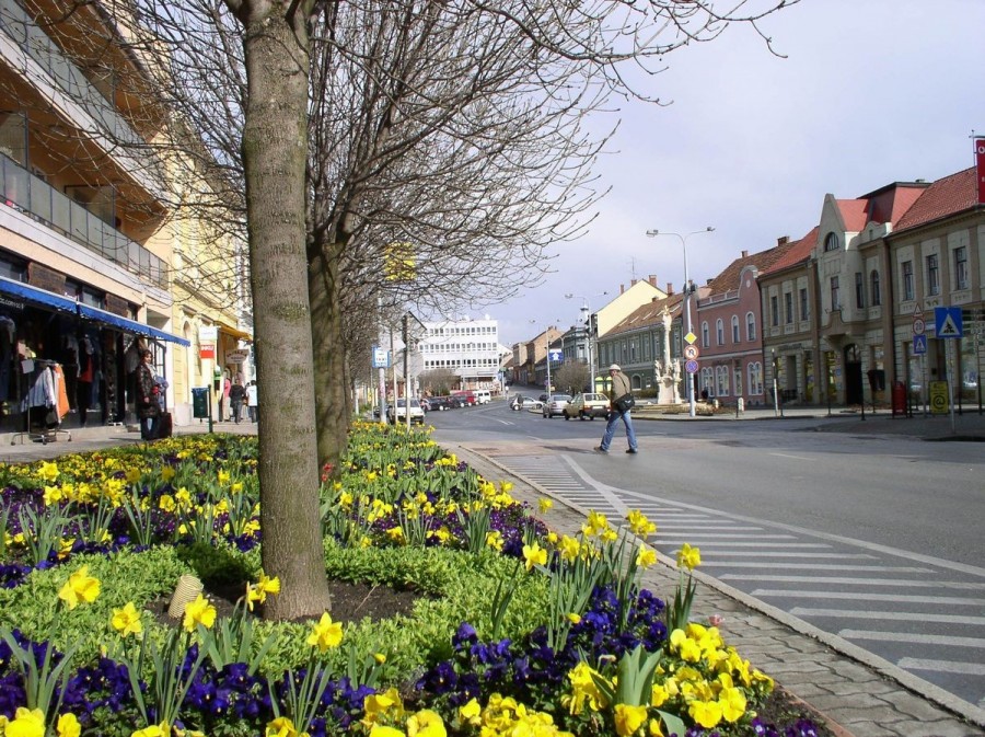 Utcakép 2008 márciusából. A főutca szép, esztétikus megjelenésére, a virágosításra mindig is nagy hangsúlyt helyezett az Ács János vezette önkormányzat Fotó: Szijártó János